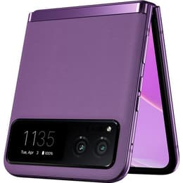 Motorola Razr 40 • Unlocked Refurbished | Back Market