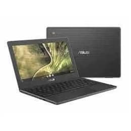 Asus Chromebook C204 Celeron N4020 1.1 GHz 32 GB eMMC - 4 GB