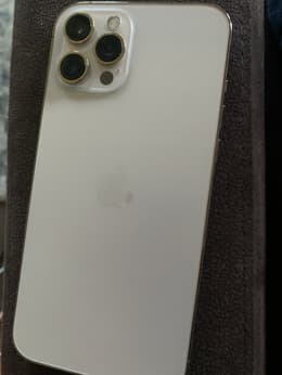 iPhone 12 Pro Max 256GB - Gold - Unlocked | Back Market