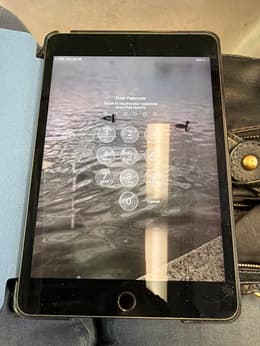 iPad mini 5 (2019, A12 series) Refurbished | Back Market