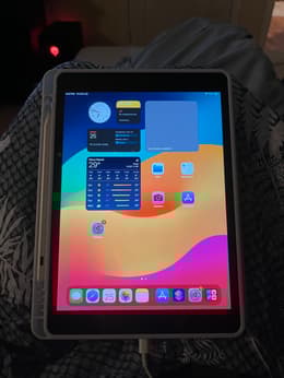 iPad 10.2-inches (2019) 7th gen 128 GB - Wi-Fi - Space Gray | Back