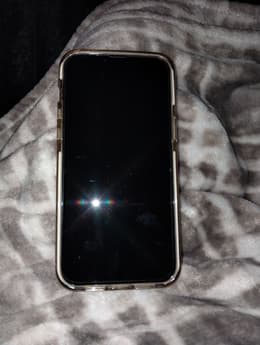iPhone 13 Pro Max 256GB - Silver - Unlocked | Back Market