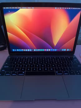 266）MacBook,12インチ 2017　/ｍ3/8GB/256GB MacBook Retina 12-inch (2017) - Core m3 - 8GB - SSD 256GB