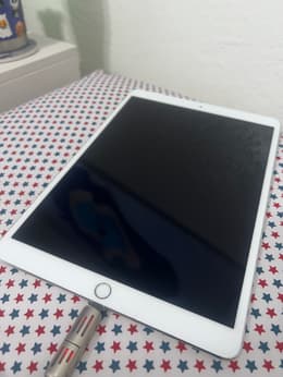 iPad Pro 12.9-inches (2017) 2nd gen 256 GB - Wi-Fi - Silver | Back