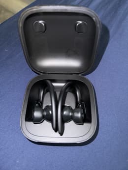 Beats By Dr. Dre Powerbeats Pro Bluetooth Earphones - Black | Back
