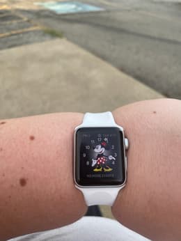 Apple Watch Series 3 (2017) GPS + Cellular 38 mm - Aluminium Pink