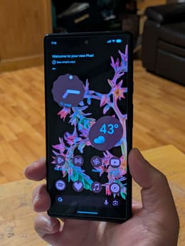 Google Pixel 6 256GB - Black - Unlocked | Back Market