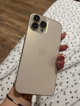 iPhone 13 Pro Max 256GB - Gold - Unlocked | Back Market