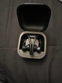 Beats By Dr. Dre Powerbeats Pro Bluetooth Earphones - Black | Back