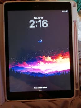 iPad 10.2-inches (2021) 9th gen 256 GB - Wi-Fi - Space Gray | Back