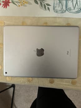 iPad 10.2-inches (2020) 8th gen 32 GB - Wi-Fi + 4G - Silver | Back