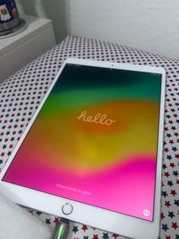 iPad Pro 10.5-inches (2017) 1st gen 256 GB - Wi-Fi - Space Gray