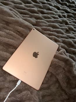 iPad Air 10.5-inches (2019) 3rd gen 256 GB - Wi-Fi - Gold | Back