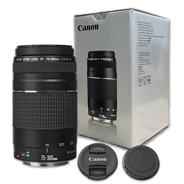 Cameras Lens Canon Ef 75 300mm F 4 5 6 Iii Back Market