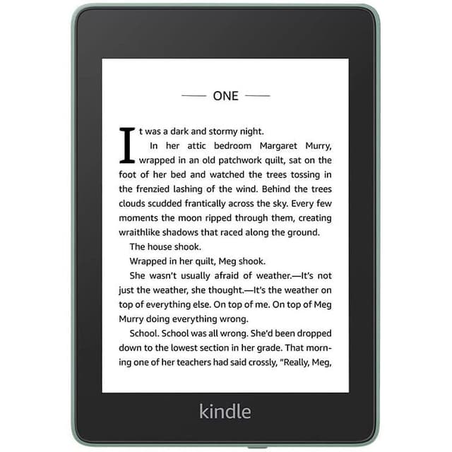 Amazon Kindle Paperwhite 4 (2018) 6 Wifi E-reader