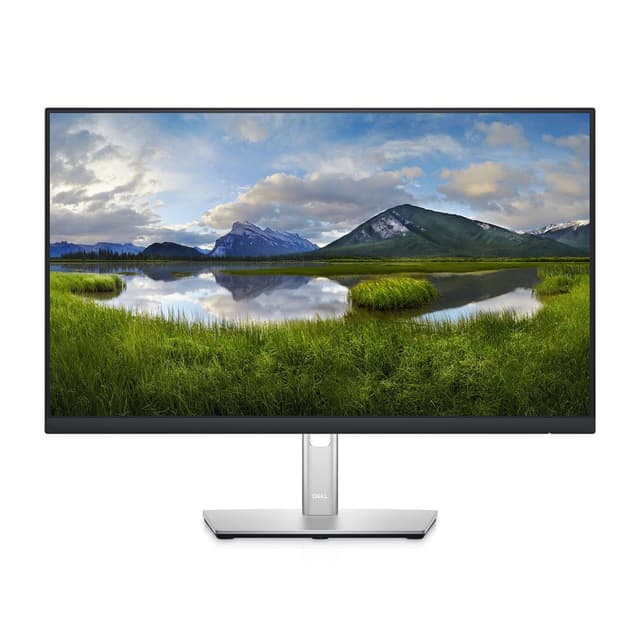 Dell 23.8-inch Monitor 1920 x 1080 LED (P2422HE)